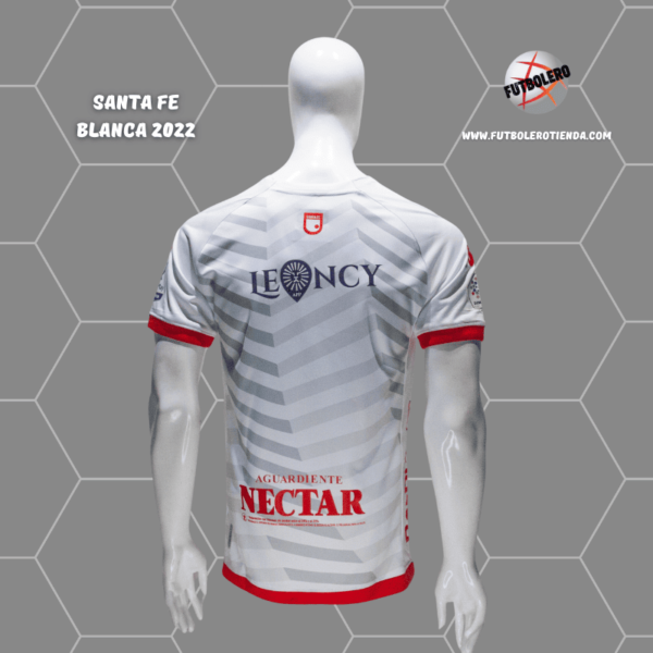 Santa Fe Vis. 2022 - Image 2